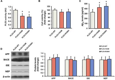 PLD3 Rare Variants Identified in Late-Onset Alzheimer’s Disease Affect Amyloid-β Levels in Cellular Model